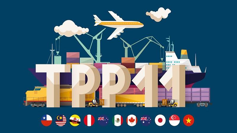 TPP11: Chile se convierte en el décimo país en ser miembro del tratado