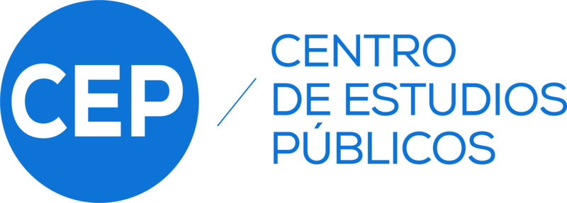 CEP: Informe de las votaciones de las comisiones en el Consejo Constitucional