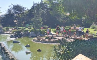 Jardín Japonés de La Serena:  Un regalo para el alma