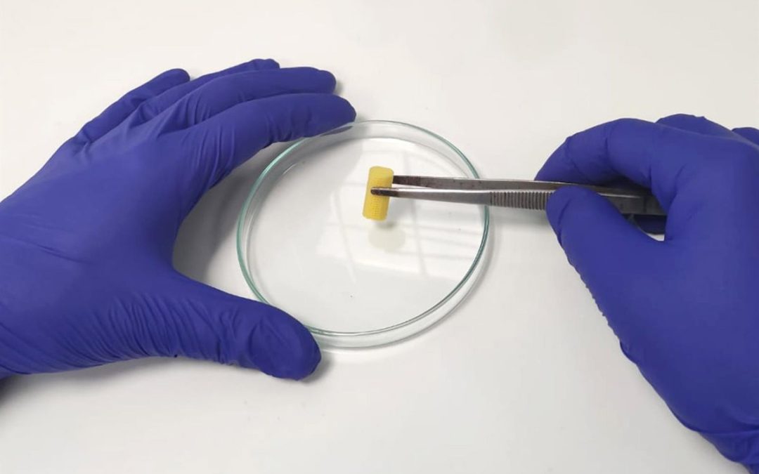 Crean un nuevo biomaterial regenerador de los cartílagos dañados en las articulaciones