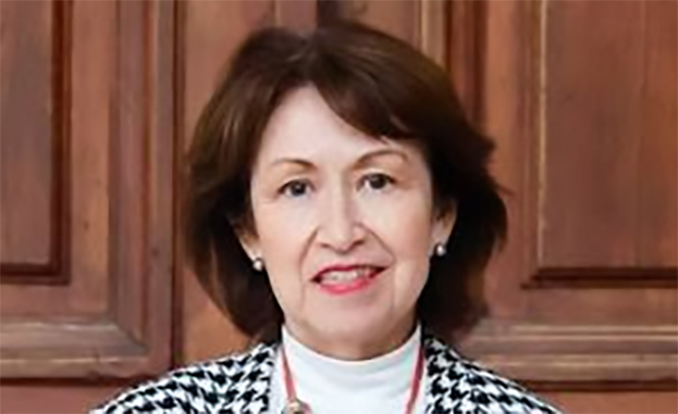 Marisol Peña, ex Presidenta del Tribunal Constitucional no le ve destino al recurso de  inconstitucionalidad